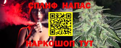 стаф Малгобек