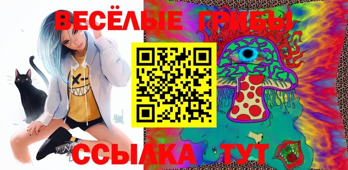 Унеча  Галлюциногенные грибы GOLDEN TEACHER  Вход с VPN  Галлюциногенные грибы мухоморы 
