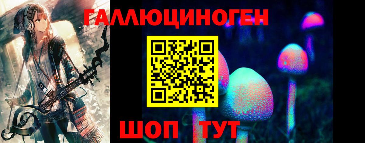 Псилоцибиновые грибы мицелий Унеча